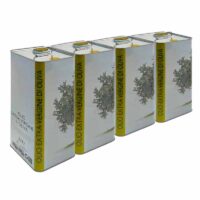 Vendita on line di 20 litri di olio di oliva extravergine