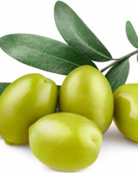 Pietre del Porto Produzione Olio extravergine di Oliva