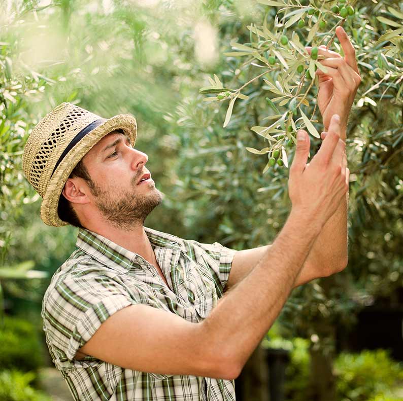 Pietre%20del%20Porto%20Produzione%20Olio%20extravergine%20di%20Oliva